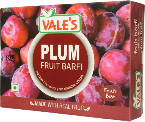 VALE'S Plum Fruit Barfi